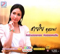 สายใย อุดมพร - คิดถึงฮอยกอด คิดฮอดคนลืม VCD1830-web1